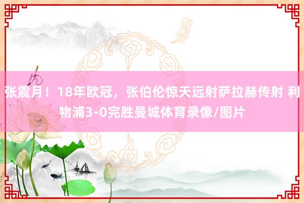 张震月！18年欧冠，张伯伦惊天远射萨拉赫传射 利物浦3-0完胜曼城体育录像/图片