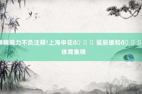 殚精竭力不负注释!上海申花💙诞辰缓和🎂 体育集锦