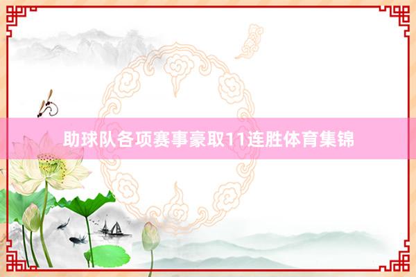 助球队各项赛事豪取11连胜体育集锦