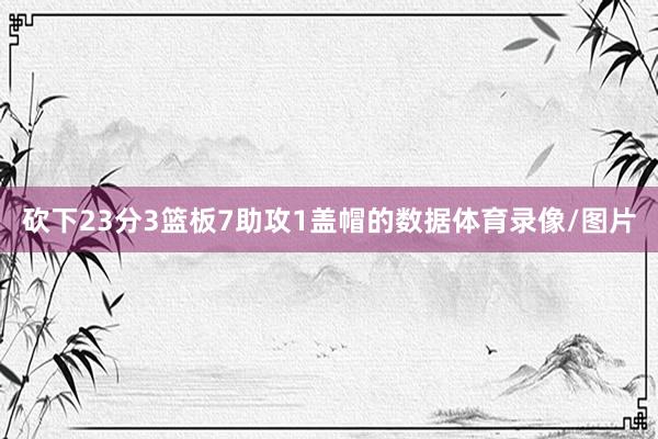 砍下23分3篮板7助攻1盖帽的数据体育录像/图片