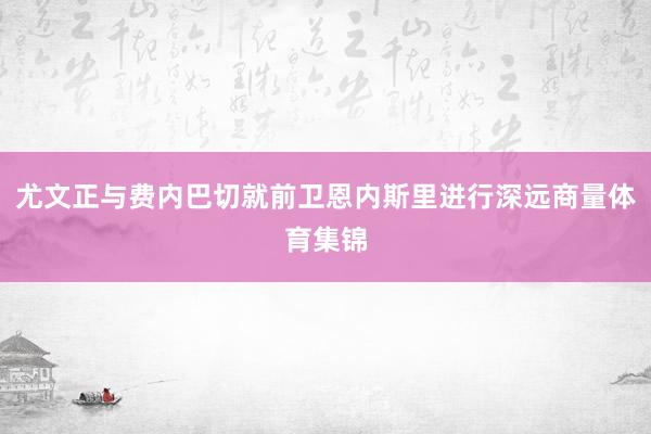 尤文正与费内巴切就前卫恩内斯里进行深远商量体育集锦