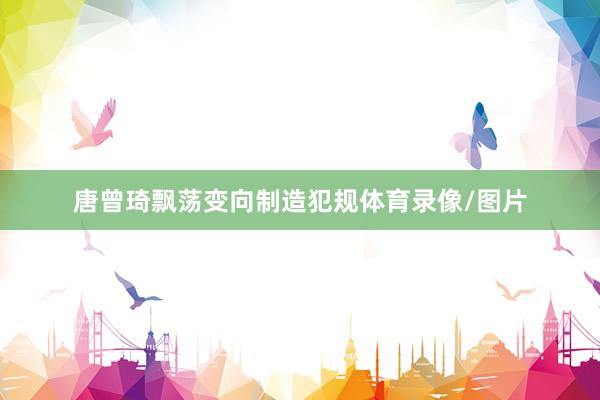 唐曾琦飘荡变向制造犯规体育录像/图片