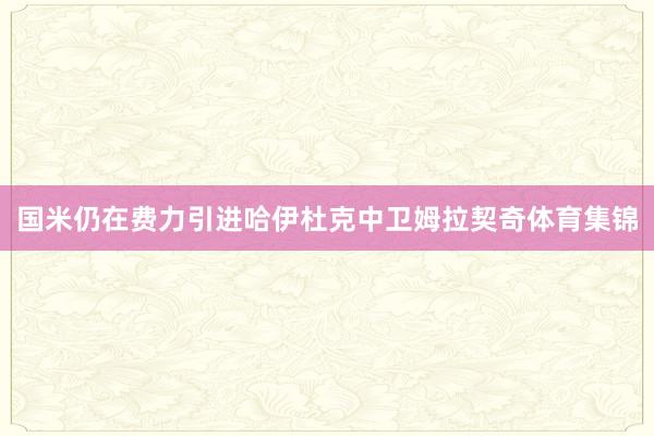 国米仍在费力引进哈伊杜克中卫姆拉契奇体育集锦