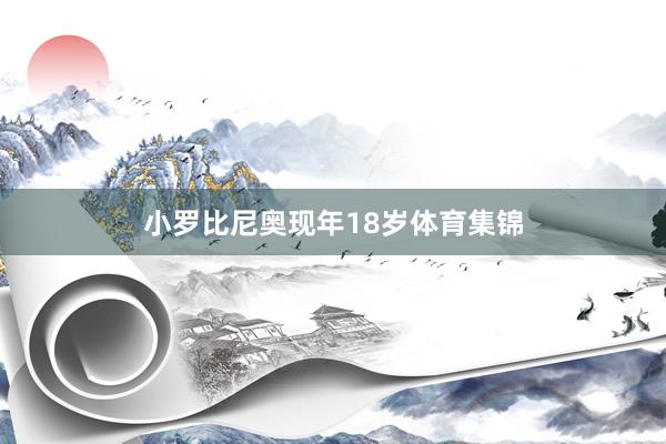 小罗比尼奥现年18岁体育集锦
