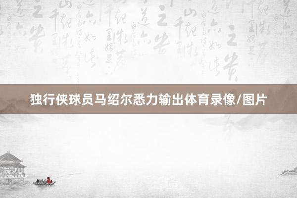 独行侠球员马绍尔悉力输出体育录像/图片