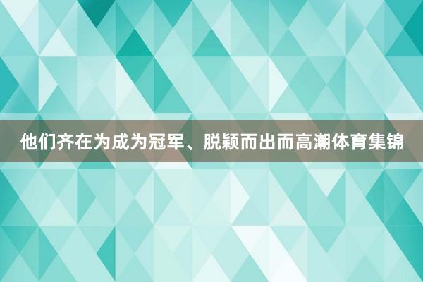 他们齐在为成为冠军、脱颖而出而高潮体育集锦