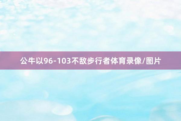 公牛以96-103不敌步行者体育录像/图片