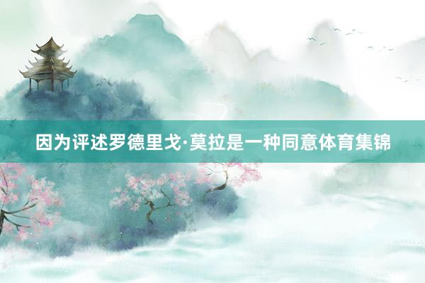 因为评述罗德里戈·莫拉是一种同意体育集锦