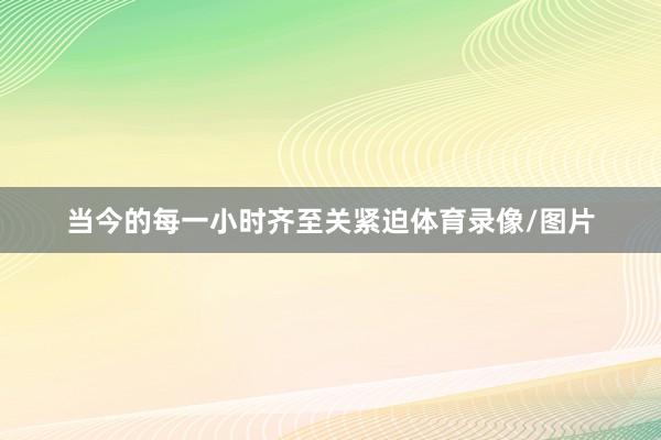 当今的每一小时齐至关紧迫体育录像/图片
