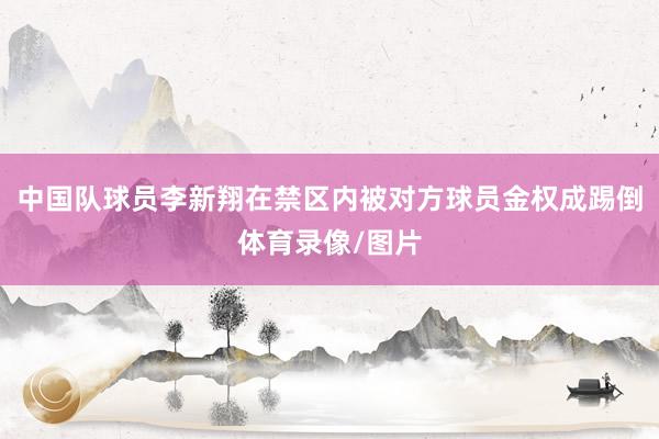 中国队球员李新翔在禁区内被对方球员金权成踢倒体育录像/图片