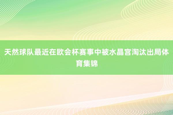 天然球队最近在欧会杯赛事中被水晶宫淘汰出局体育集锦