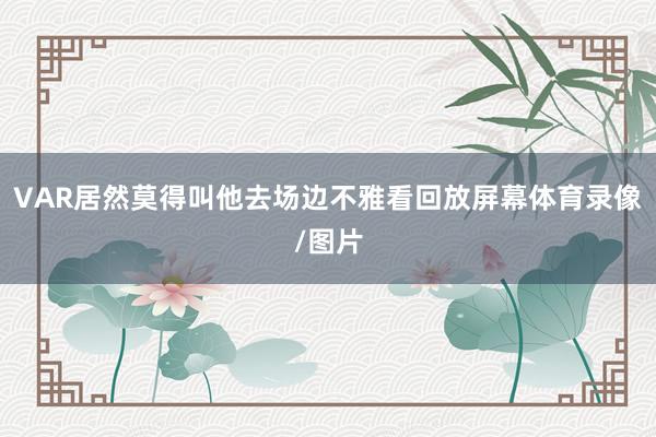 VAR居然莫得叫他去场边不雅看回放屏幕体育录像/图片
