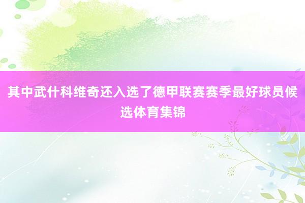 其中武什科维奇还入选了德甲联赛赛季最好球员候选体育集锦