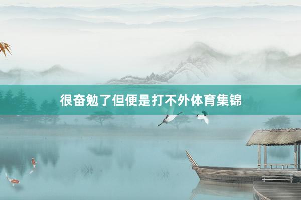 很奋勉了但便是打不外体育集锦
