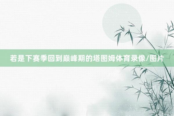 若是下赛季回到巅峰期的塔图姆体育录像/图片