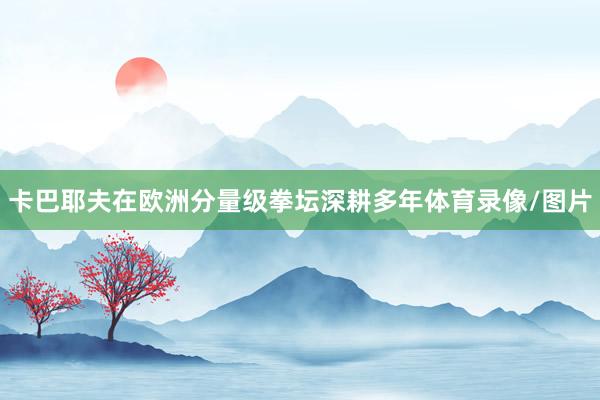 卡巴耶夫在欧洲分量级拳坛深耕多年体育录像/图片