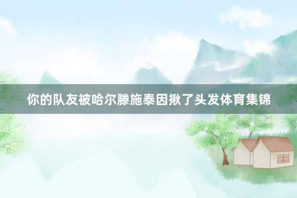 你的队友被哈尔滕施泰因揪了头发体育集锦