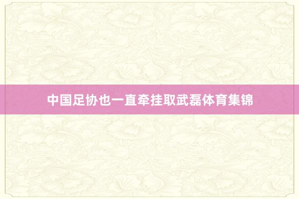 中国足协也一直牵挂取武磊体育集锦