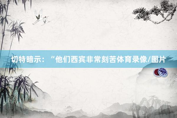 切特暗示：“他们西宾非常刻苦体育录像/图片