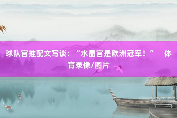 球队官推配文写谈:“水晶宫是欧洲冠军!” 体育录像/图片