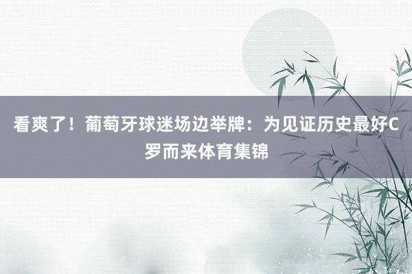 看爽了！葡萄牙球迷场边举牌：为见证历史最好C罗而来体育集锦